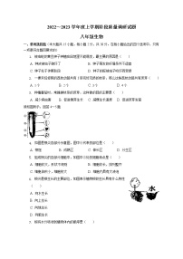 广西百色市乐业县2022-2023学年八年级上学期期中生物试卷(含答案)