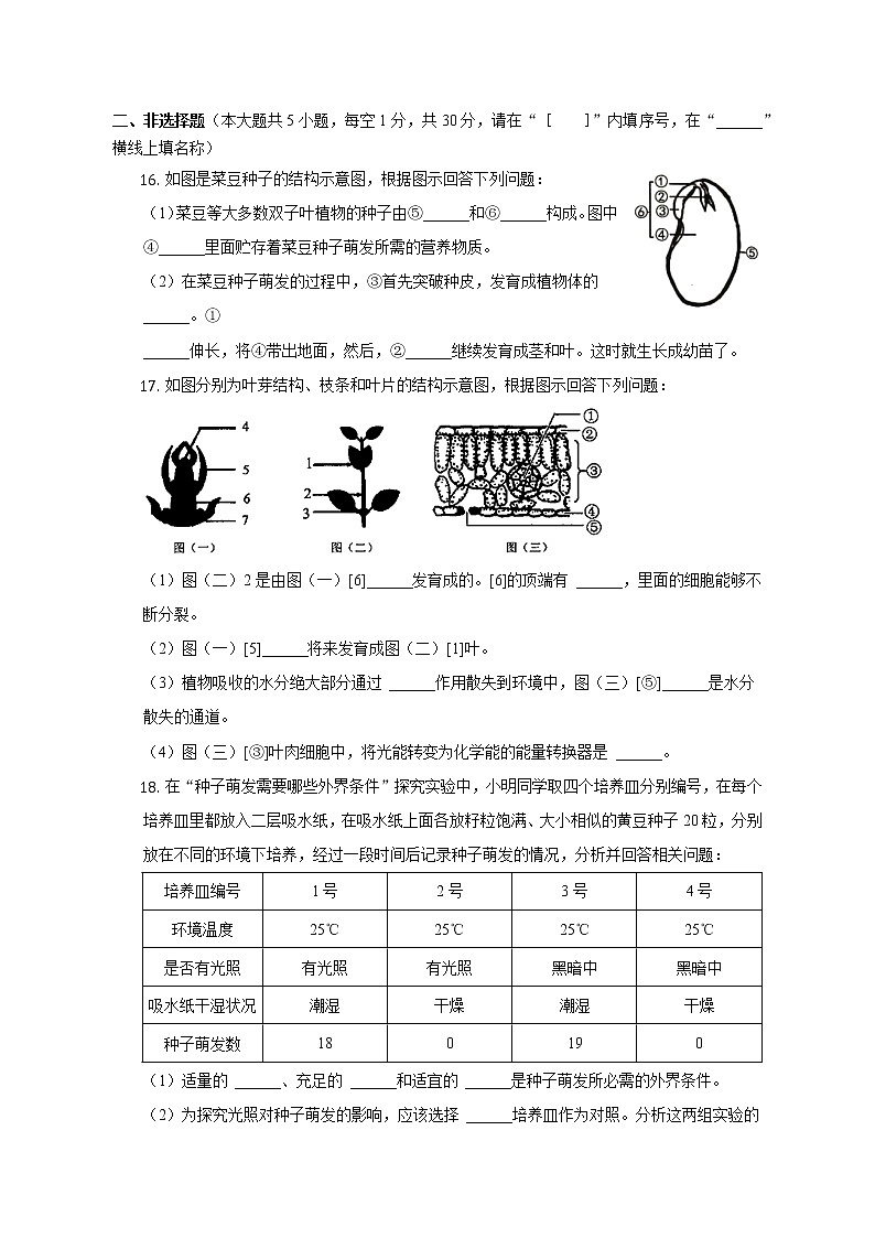 广西百色市乐业县2022-2023学年八年级上学期期中生物试卷(含答案)第3页