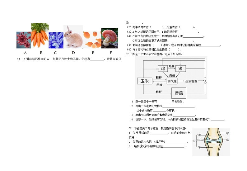 湖北省利川市汪营镇初级中学2022--2023学年八年级上学期期中考试 生物试题(含答案)第2页