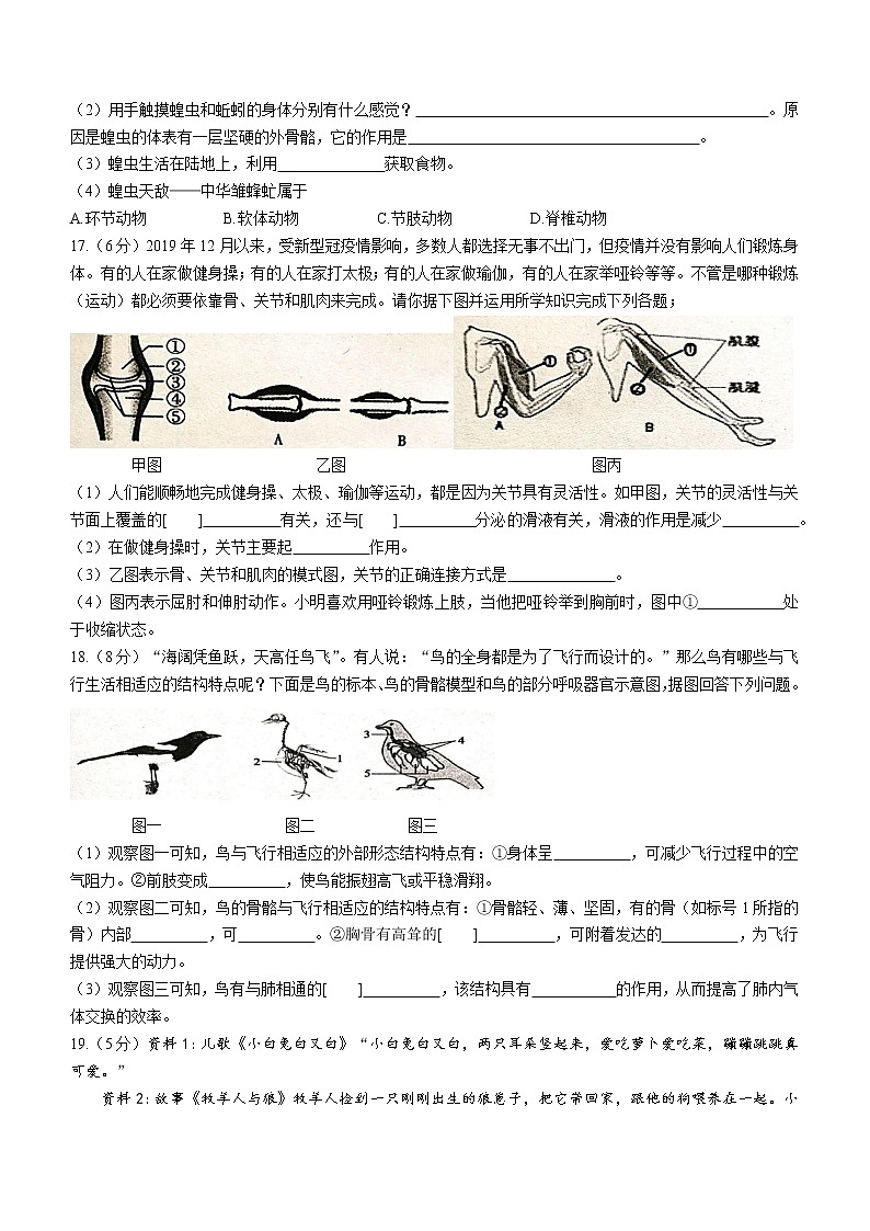 辽宁省葫芦岛市绥中县2022-2023学年八年级上学期期中生物试题(含答案)第3页