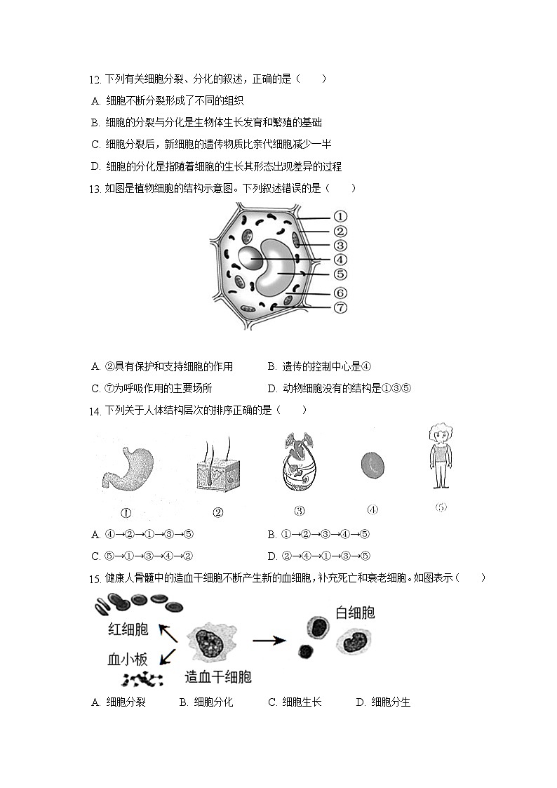 山东省滨州市首都师范大学附属滨州中学2022-2023学年七年级上学期第一次月考生物试题(含答案)第3页