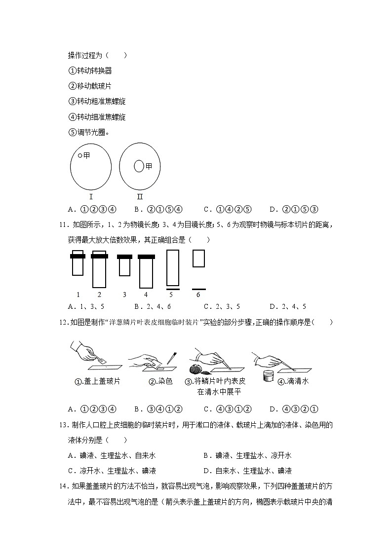 山东省枣庄市峄城区东方国际学校2022-2023学年七年级上学期第一次质检生物试卷(含答案)第3页