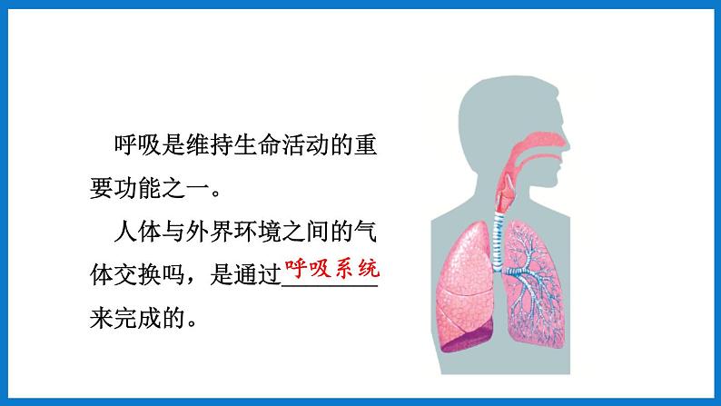 3.2.1 人体与外界的气体交换（第1课时）（课件）济南版生物七年级下册03