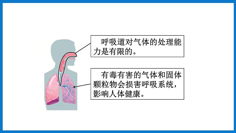 3.2.3 呼吸保健与急救（课件）济南版生物七年级下册第3页