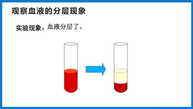 3.3.1物质运输的载体（第1课时）（课件）济南版生物七年级下册06