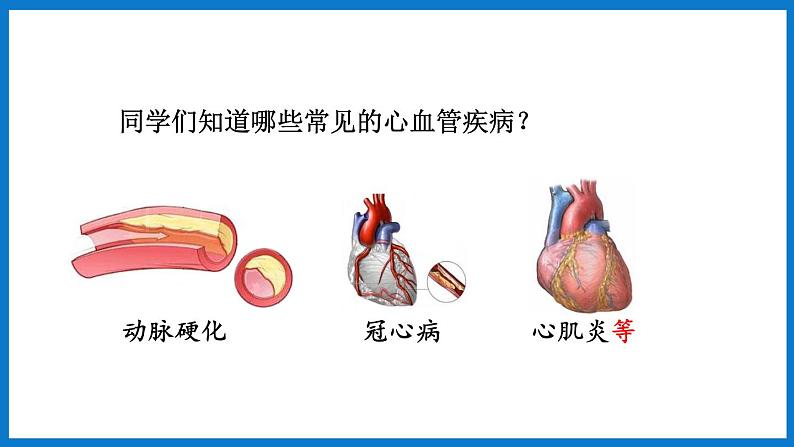 3.3.4 关注心血管健康（课件）济南版生物七年级下册第3页