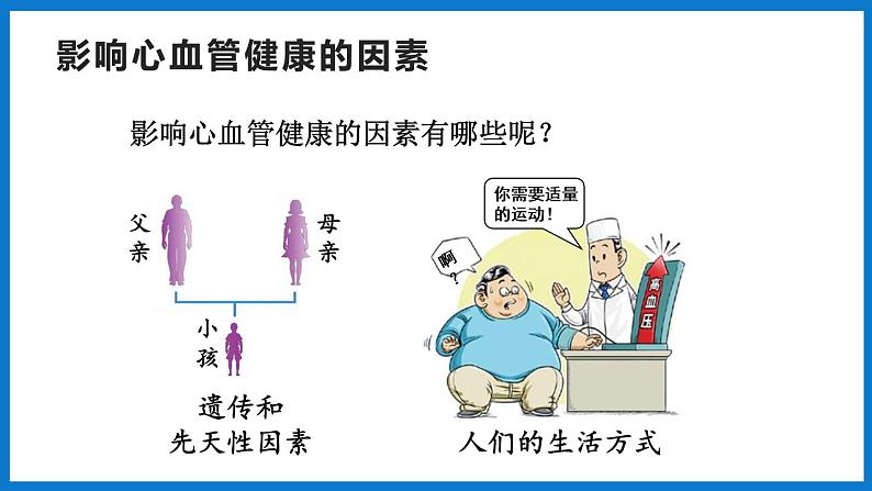 3.3.4 关注心血管健康（课件）济南版生物七年级下册第4页