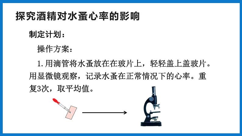 3.3.4 关注心血管健康（课件）济南版生物七年级下册第7页