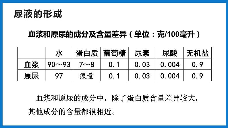 3.4.1 尿液的形成和排出（第2课时）（课件）济南版生物七年级下册06