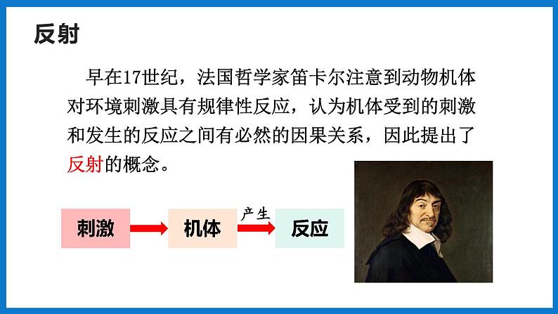 3.5.3神经调节的基本方式（第1课时）（课件）济南版生物七年级下册03