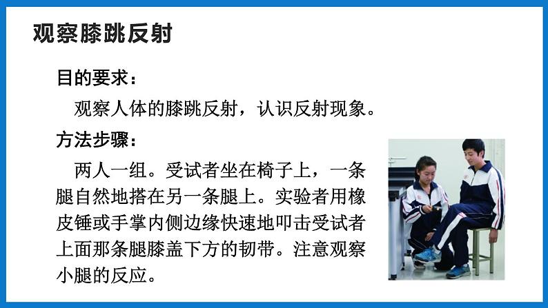 3.5.3神经调节的基本方式（第1课时）（课件）济南版生物七年级下册04