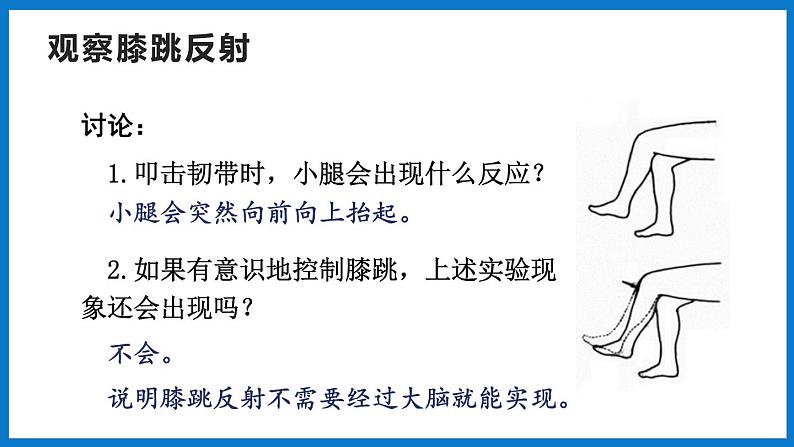 3.5.3神经调节的基本方式（第1课时）（课件）济南版生物七年级下册06