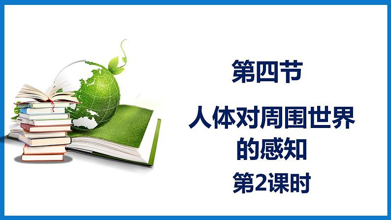 3.5.4人体对周围世界的感知（第2课时）（课件）济南版生物七年级下册第1页