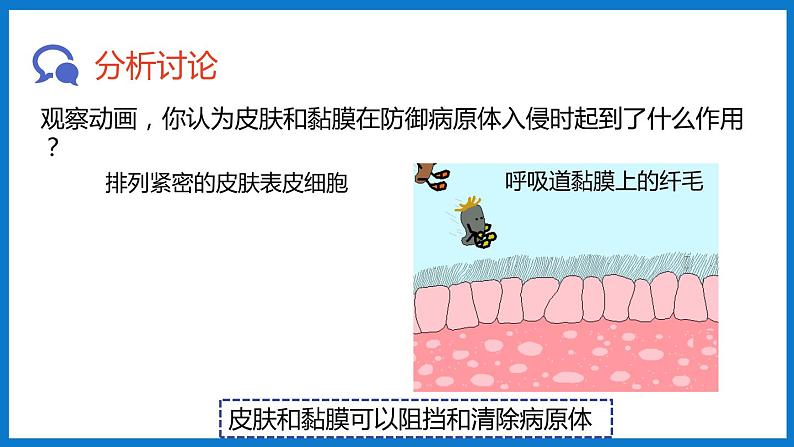 3.6.1人体的免疫功能（课件）济南版生物七年级下册04