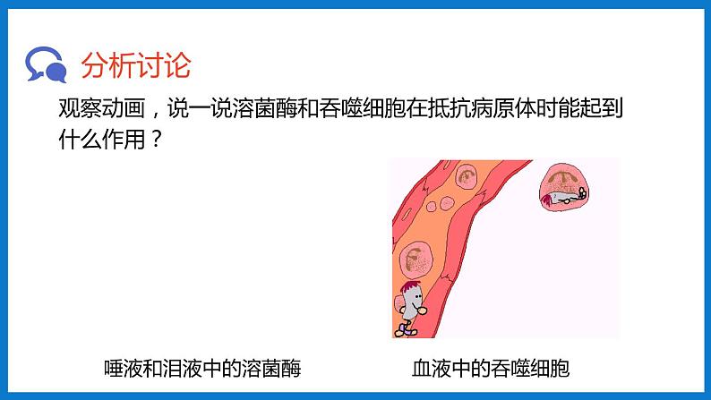 3.6.1人体的免疫功能（课件）济南版生物七年级下册07