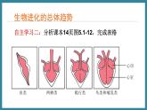 5.1.3生物进化的历程 （课件）济南版生物八年级下册