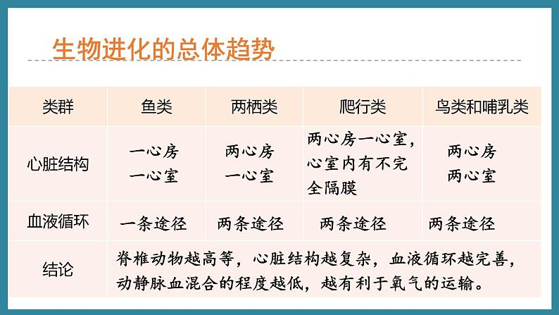 5.1.3生物进化的历程 （课件）济南版生物八年级下册06