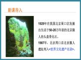 5.2.2人类的进化 （课件）济南版生物八年级下册