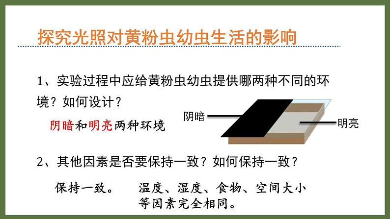 6.1.1环境对生物的作用 （课件）济南版生物八年级下册07