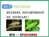 6.1.2生物对环境的适应与影响 （课件）济南版生物八年级下册