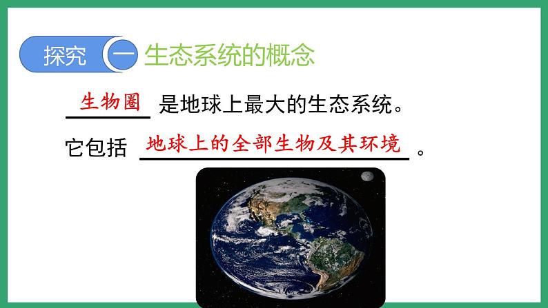 6.2.1生态系统的组成 （课件）济南版生物八年级下册第4页