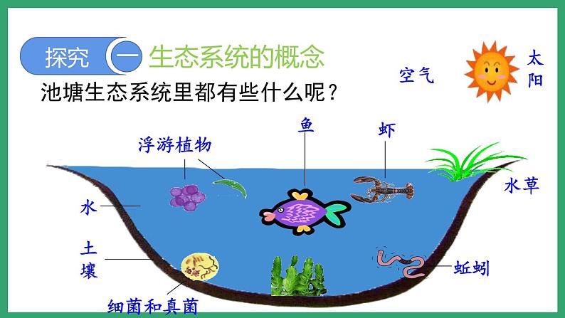 6.2.1生态系统的组成 （课件）济南版生物八年级下册第7页