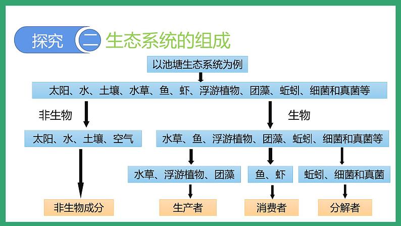 6.2.1生态系统的组成 （课件）济南版生物八年级下册第8页