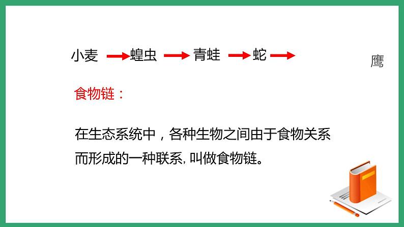 6.2.2食物链和食物网 （课件）济南版生物八年级下册第5页