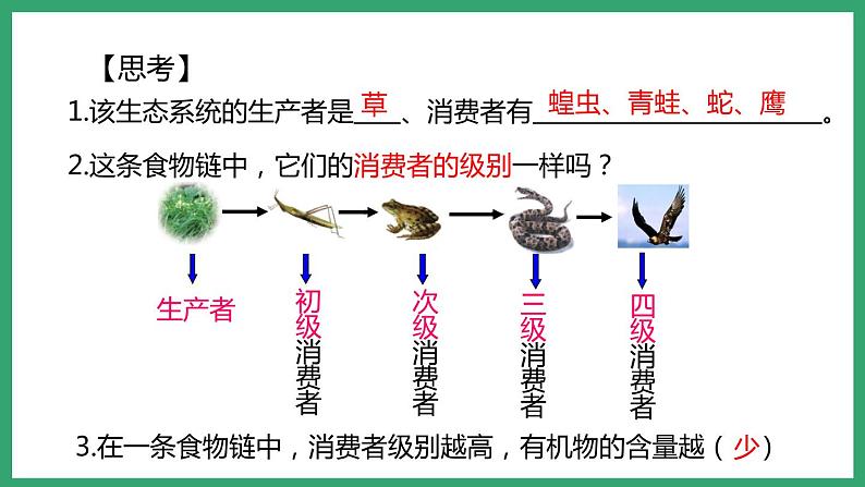 6.2.2食物链和食物网 （课件）济南版生物八年级下册第6页