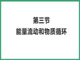 6.2.3能量流动和物质循环 （课件）济南版生物八年级下册