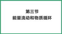 济南版八年级下册第三节 能量流动和物质循环教学ppt课件