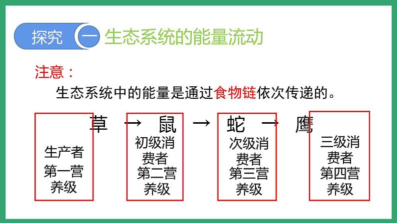 6.2.3能量流动和物质循环 （课件）济南版生物八年级下册第6页