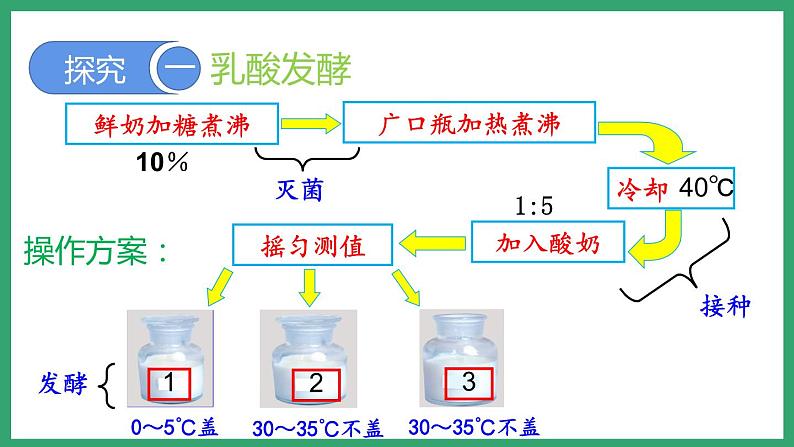 7.1.1发酵技术 （课件）济南版生物八年级下册06