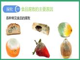 7.1.2食品保存 （课件）济南版生物八年级下册