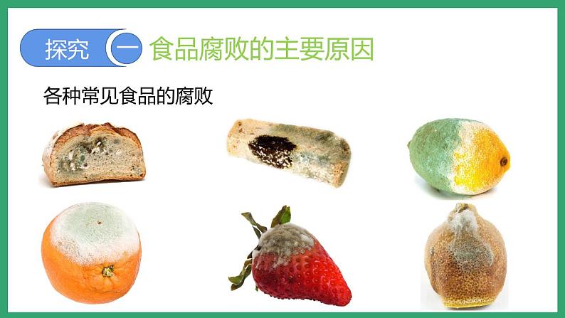 7.1.2食品保存 （课件）济南版生物八年级下册03