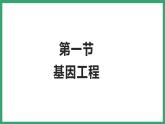 7.2.1基因工程 （课件）济南版生物八年级下册