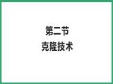 7.2.2克隆技术 （课件）济南版生物八年级下册