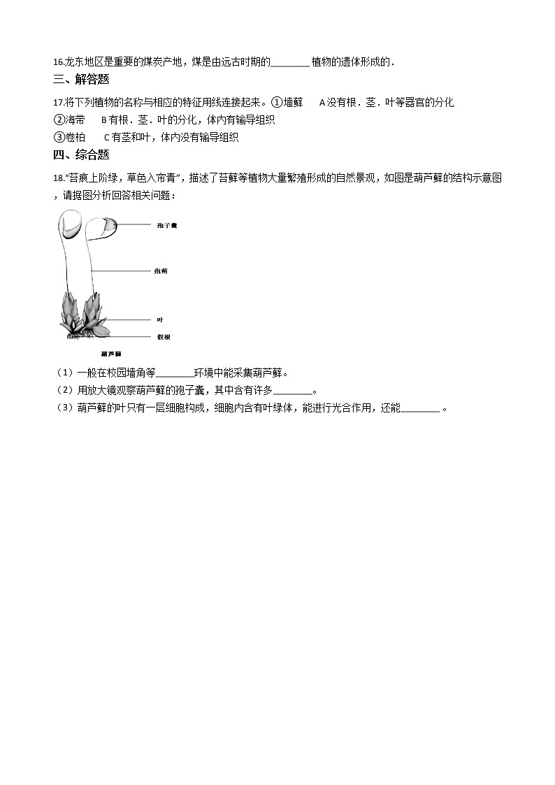 冀教版七年级上册生物 1.3.4苔藓植物与蕨类植物 同步测试与解析第2页