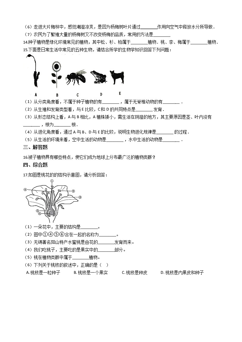 冀教版七年级上册生物 1.3.5裸子植物 同步测试与解析02