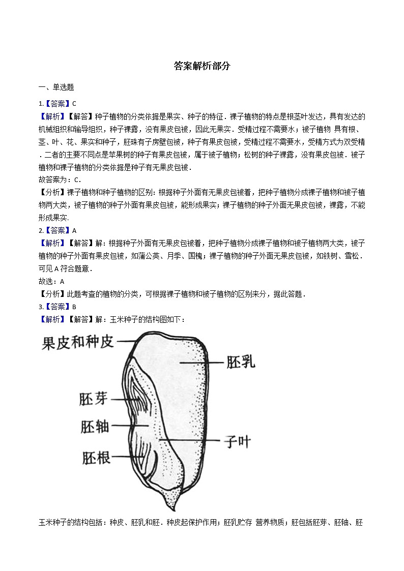 冀教版七年级上册生物 1.3.6被子植物 同步测试与解析03