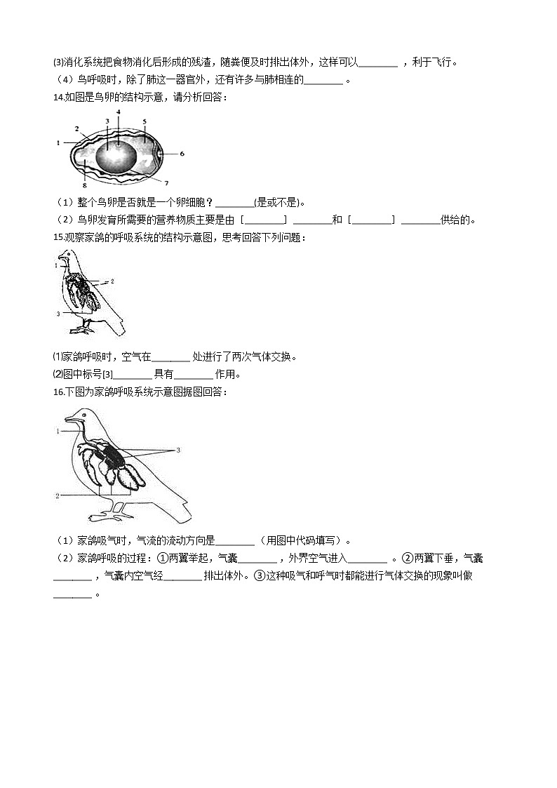 冀教版七年级上册生物 1.4.8鸟类 同步测试与解析02