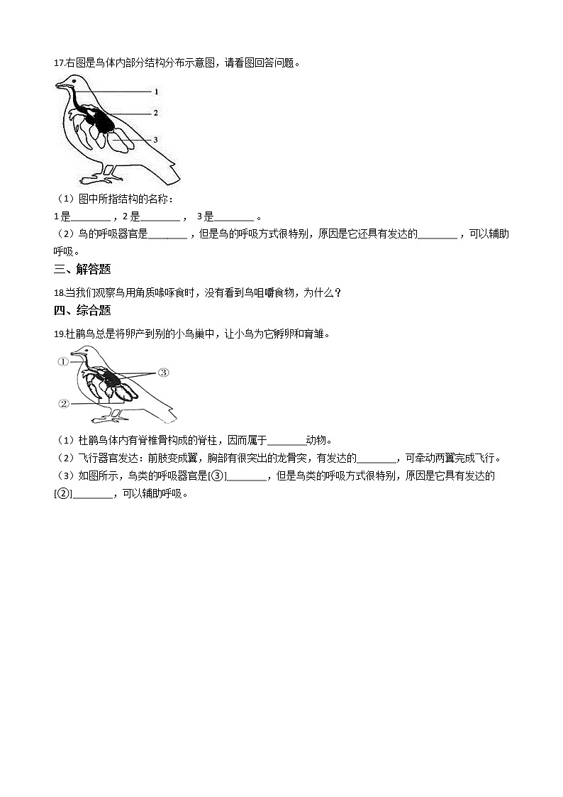 冀教版七年级上册生物 1.4.8鸟类 同步测试与解析03