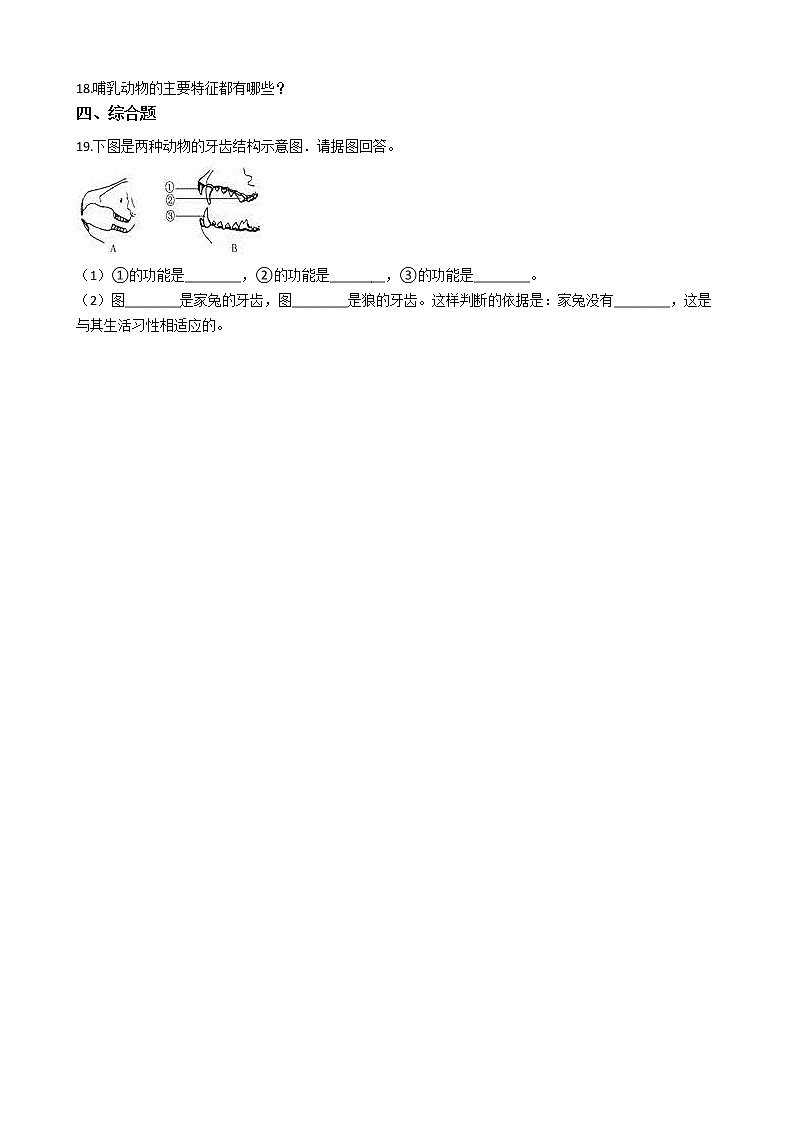冀教版七年级上册生物 1.4.9哺乳类 同步测试与解析03