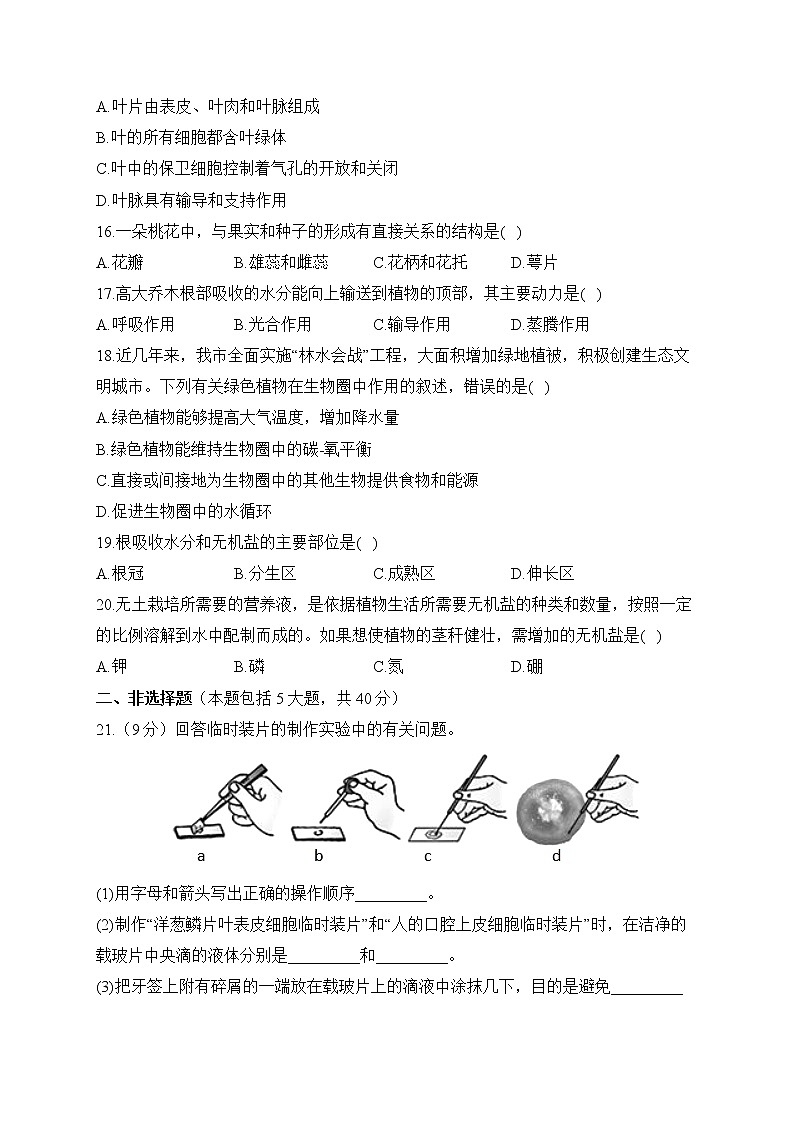2022-2023学年人教版七年级生物上学期期末达标测试卷（A卷）03