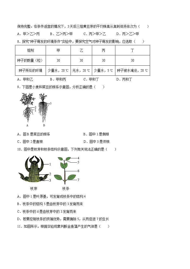【期末题型专练】人教版生物七年级上学期 期末必刷200题-题型02（探究题）02