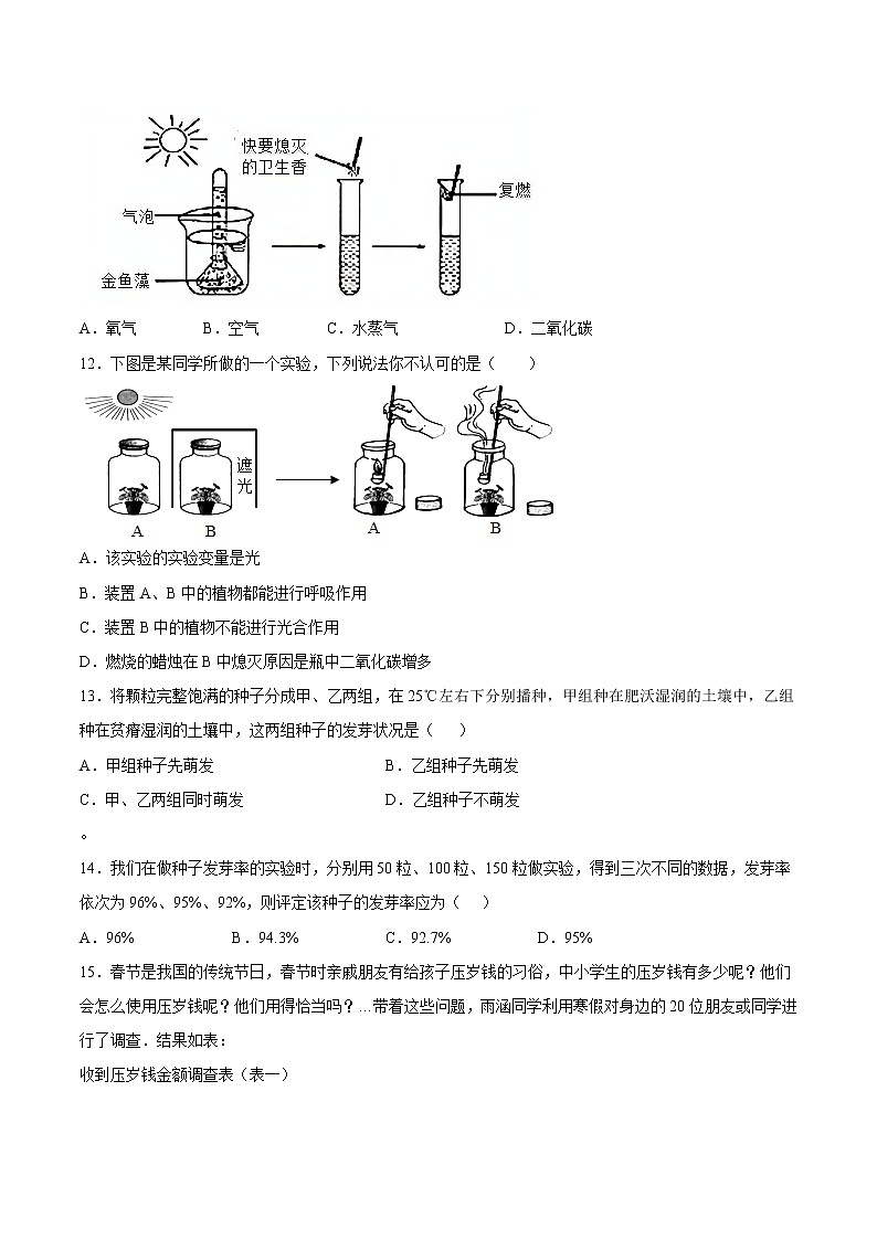 【期末题型专练】人教版生物七年级上学期 期末必刷200题-题型02（探究题）03