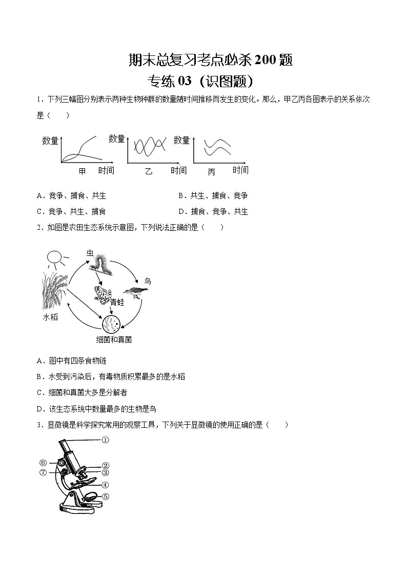 【期末题型专练】人教版生物七年级上学期 期末必刷200题-题型03（识图题）01