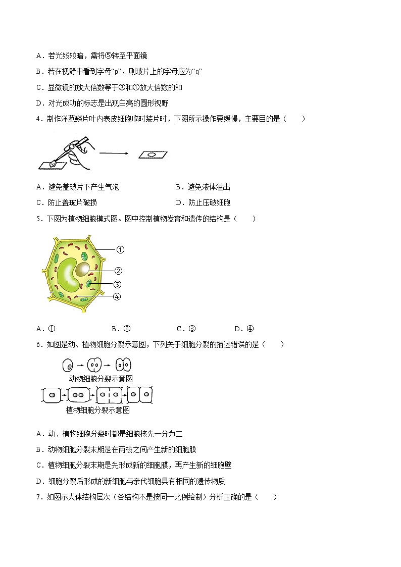 【期末题型专练】人教版生物七年级上学期 期末必刷200题-题型03（识图题）02