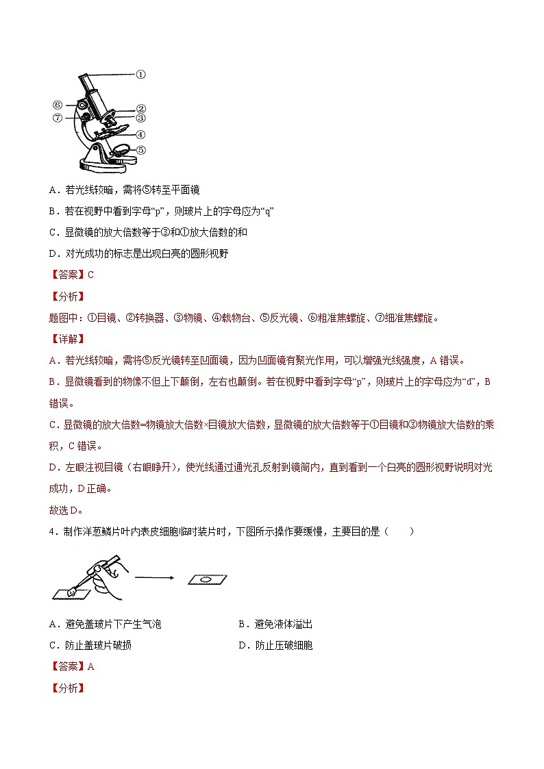 【期末题型专练】人教版生物七年级上学期 期末必刷200题-题型03（识图题）03