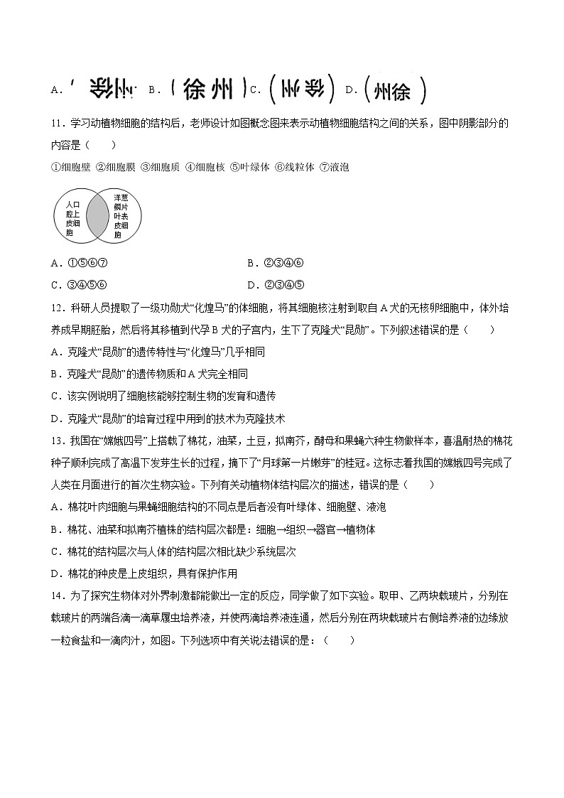 【期末题型专练】人教版生物七年级上学期 期末必刷200题-题型05（情景化试题）（原卷版）第3页